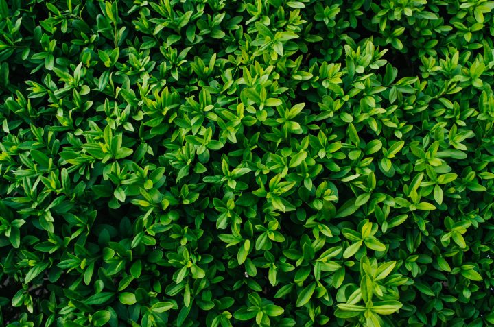iStock 669792586 scaled e1738809864722