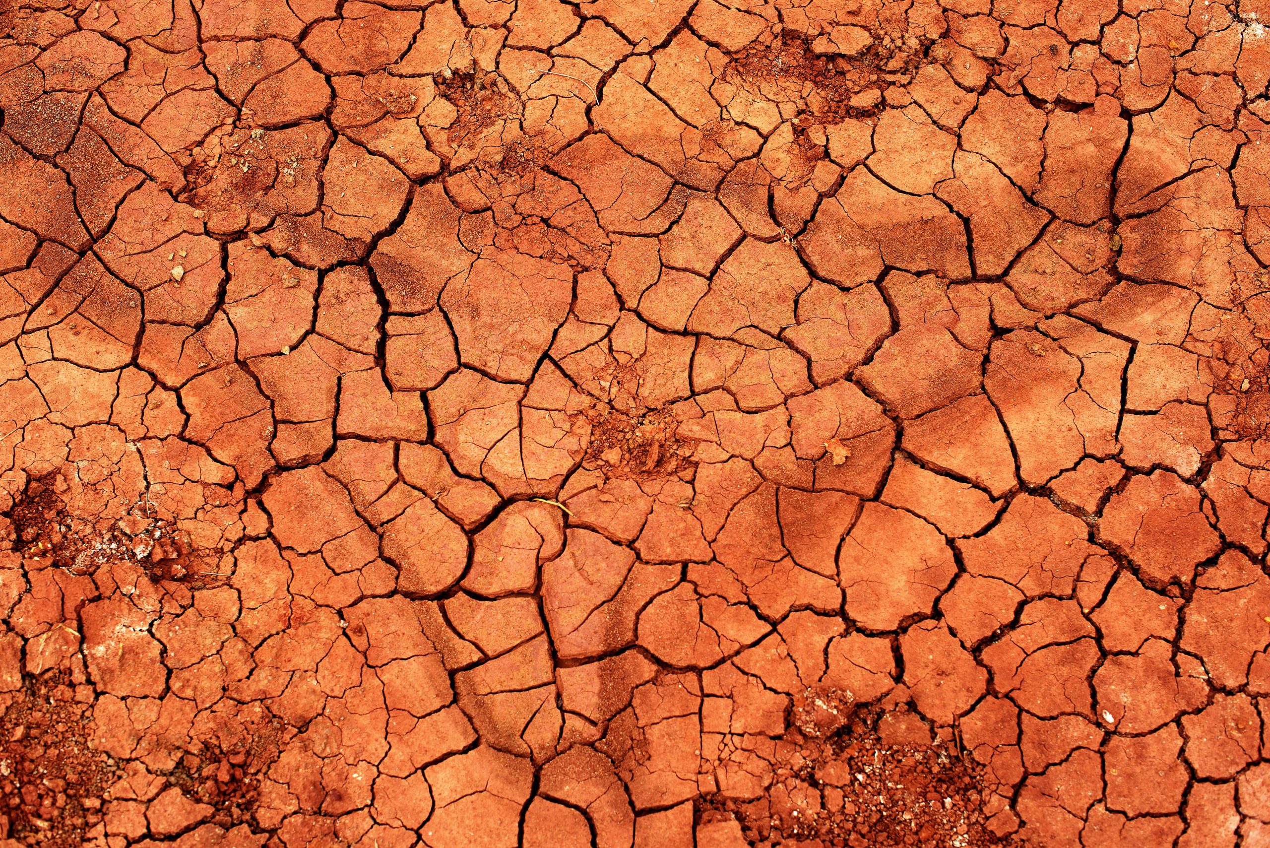 Abstract background of natural crack texture on dry soil background