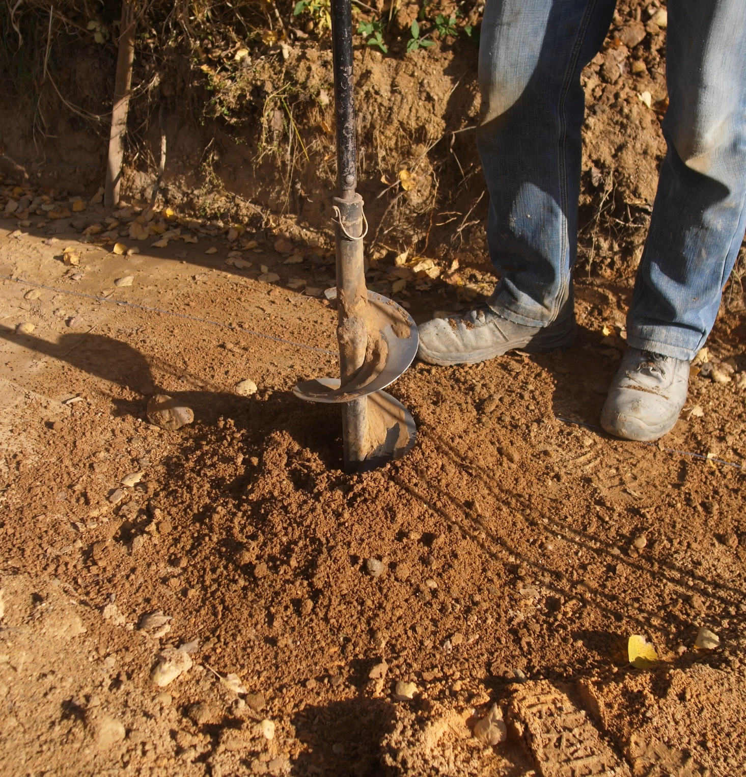 Untitled design (14)